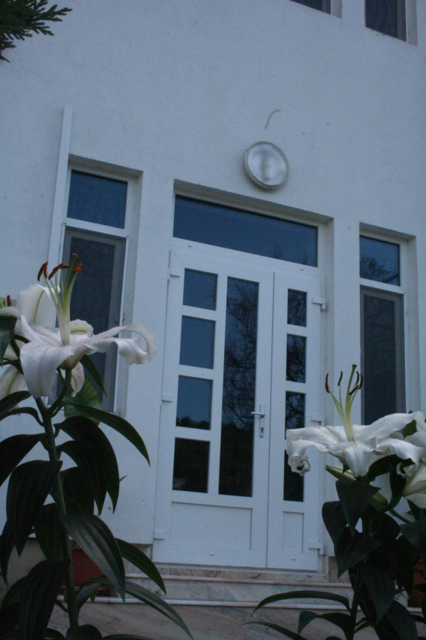 Manea Orsova Orşova Exterior foto